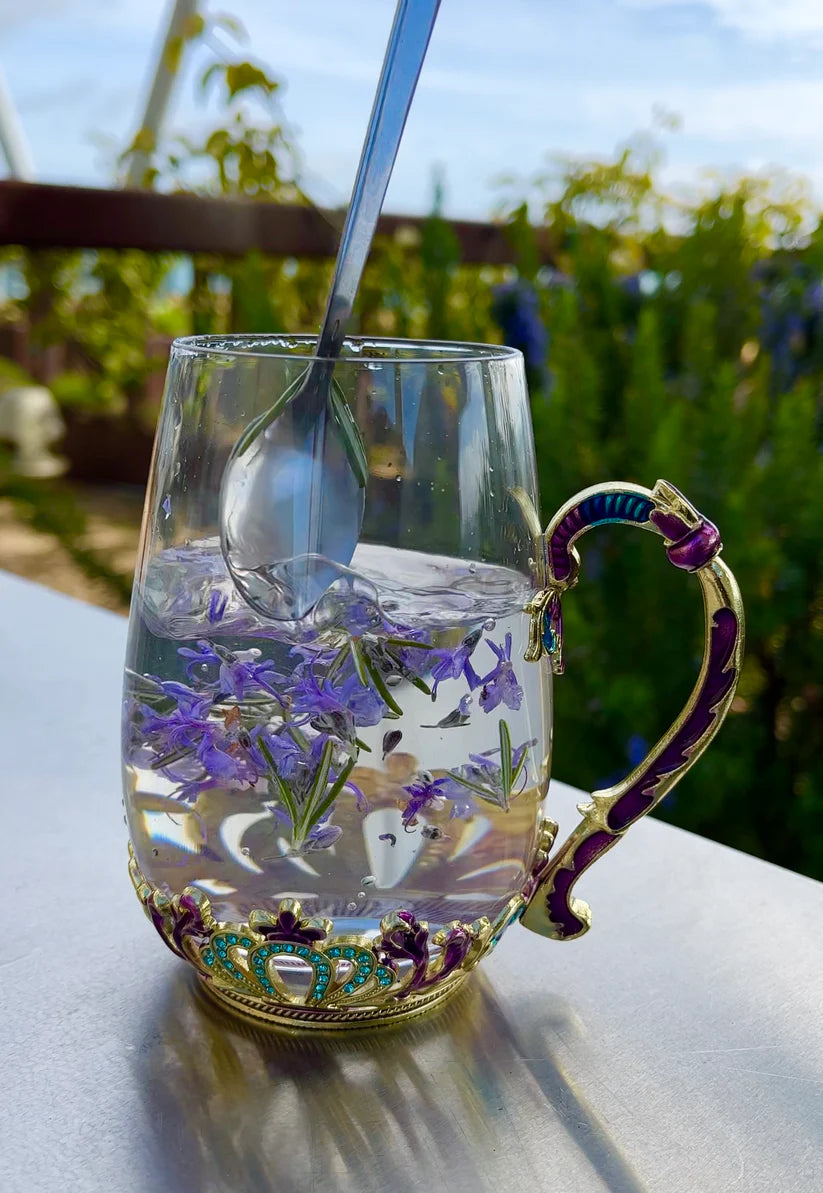 Copa Princesa Anastasia